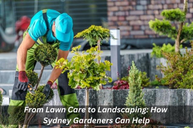 Read Article: From Lawn Care to Landscaping: How Sydney Gardeners Can Help