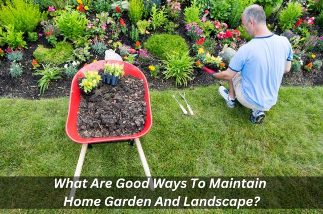 What Are Good Ways To Maintain Home Garden And Landscape?