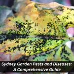 Sydney Garden Pests and Diseases: A Comprehensive Guide