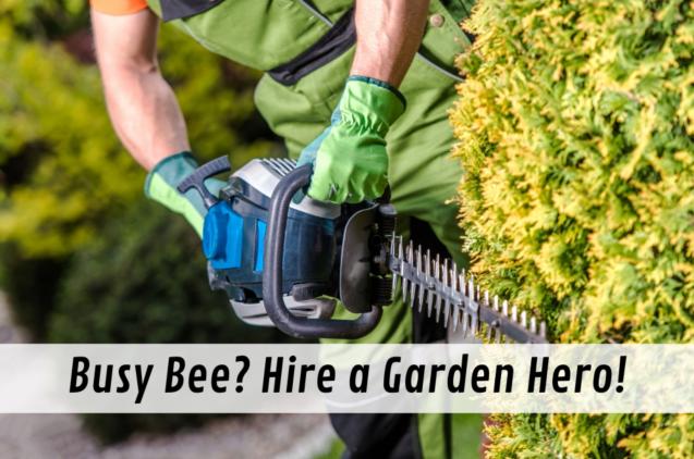 Read Article: Busy Bee? Hire a Garden Hero!