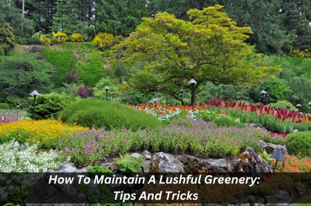 Read Article: How To Maintain A Lushful Greenery: Tips And Tricks