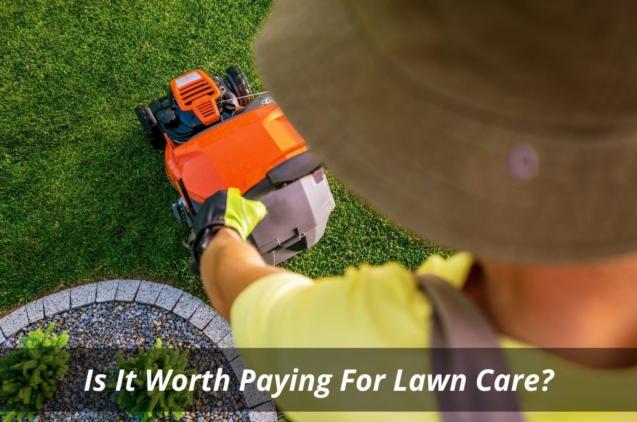 Is It Worth Paying For Lawn Care?