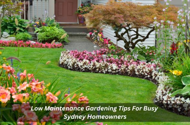 Read Article: Low Maintenance Gardening Tips For Busy Sydney Homeowners