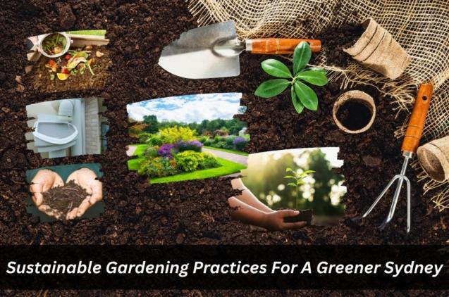 Sustainable Gardening Practices For A Greener Sydney