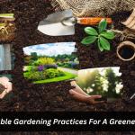 Read Article: Sustainable Gardening Practices For A Greener Sydney