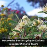 Read Article: Water-wise Landscaping In Sydney: A Comprehensive Guide