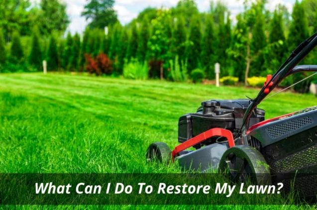 Read Article: What Can I Do To Restore My Lawn?