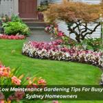 Low Maintenance Gardening Tips For Busy Sydney Homeowners