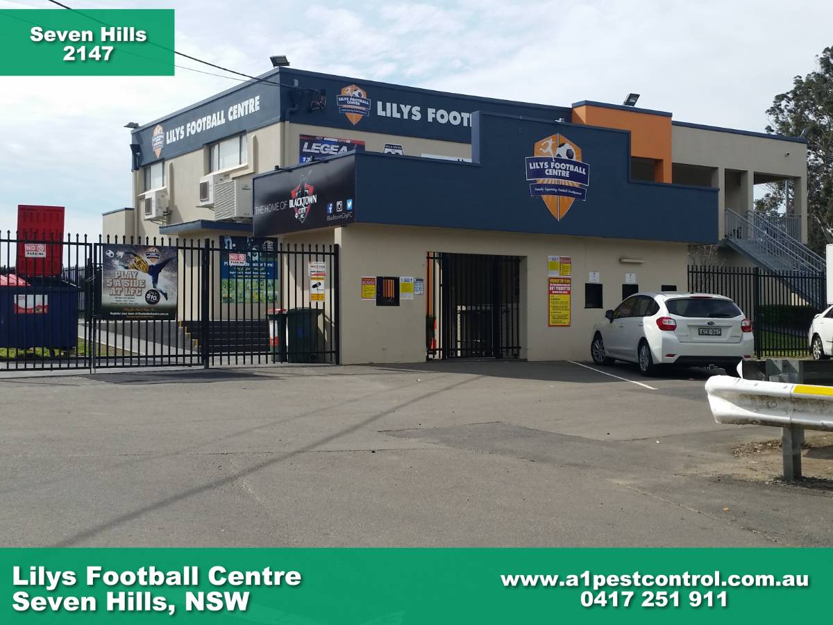 Football Centre at Lilys