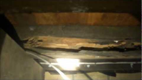 Watch Video: Moisture & Termite Damage - Building Inspections Brisbane