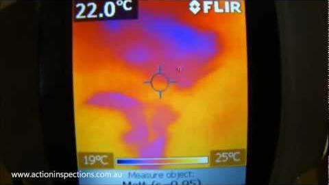 Watch Video: Thermal View Ceiling Leak - Building Inspections Brisbane