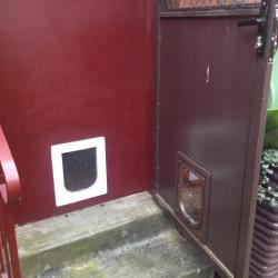 View Photo: Small aligned Pet Doors..