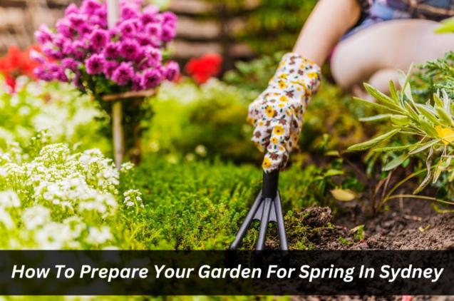 Read Article: How To Prepare Your Garden For Spring In Sydney