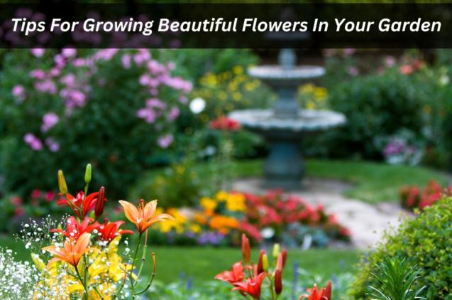 Read Article: Tips For Growing Beautiful Flowers In Your Garden