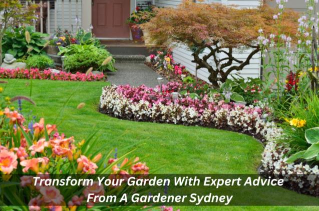 Transform Your Garden With Expert Advice From A Gardener Sydney