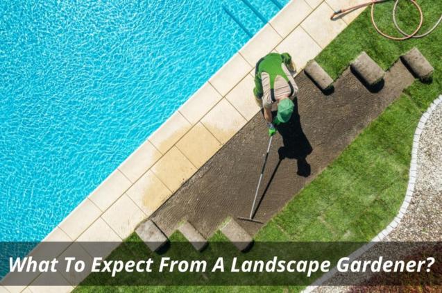 What To Expect From A Landscape Gardener?