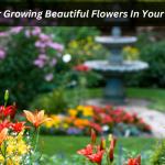 Tips For Growing Beautiful Flowers In Your Garden