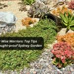 Water Wise Warriors: Top Tips For A Drought-proof Sydney Garden