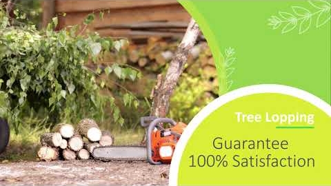 Watch Video: All Green Gardening and Landscaping | Tree Services | Tree Pruning | Tree Shaping | Gardening
