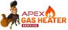 Visit Profile: Apex Gas Heater Services
