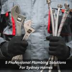 5 Professional Plumbing Solutions For Sydney Homes