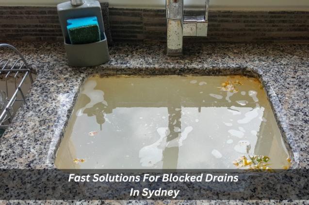 Read Article: Fast Solutions For Blocked Drains In Sydney 