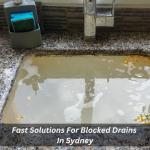 Fast Solutions For Blocked Drains In Sydney 