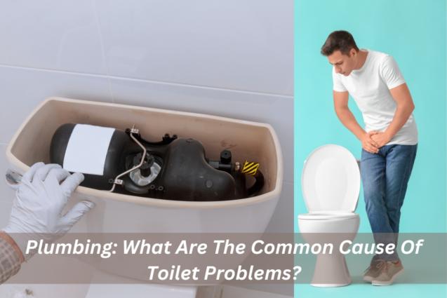 Plumbing: What Are The Common Cause Of Toilet Problems?