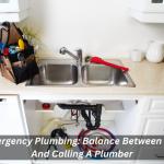 Emergency Plumbing: Balance Between DIY And Calling A Plumber