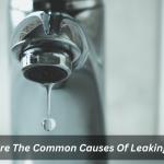 What Are The Common Causes Of Leaking Taps?