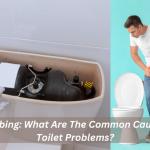 Plumbing: What Are The Common Cause Of Toilet Problems?