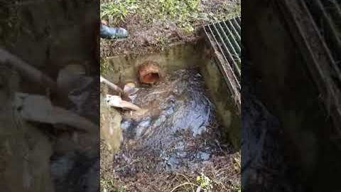 Watch Video: Clearing Drains