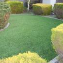 View Photo: Artifical Turf
