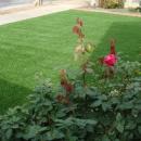 View Photo: Artificial Lawn