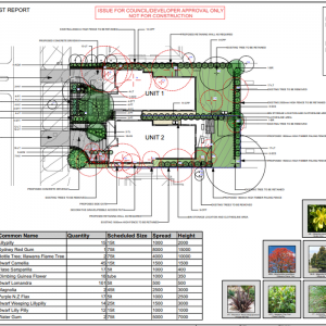 View Photo: Landscape Plan for DA