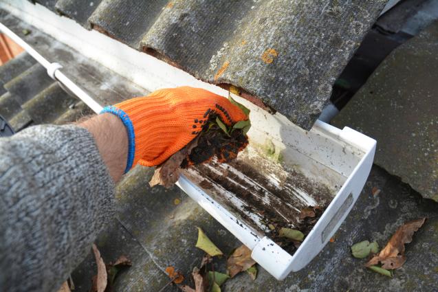 Read Article: Why Regular Maintenance of Downpipes and Gutters is Essential