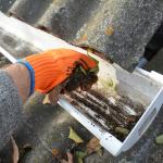 Why Regular Maintenance of Downpipes and Gutters is Essential