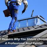 7 Reasons Why You Should Choose A Professional Roof Painter