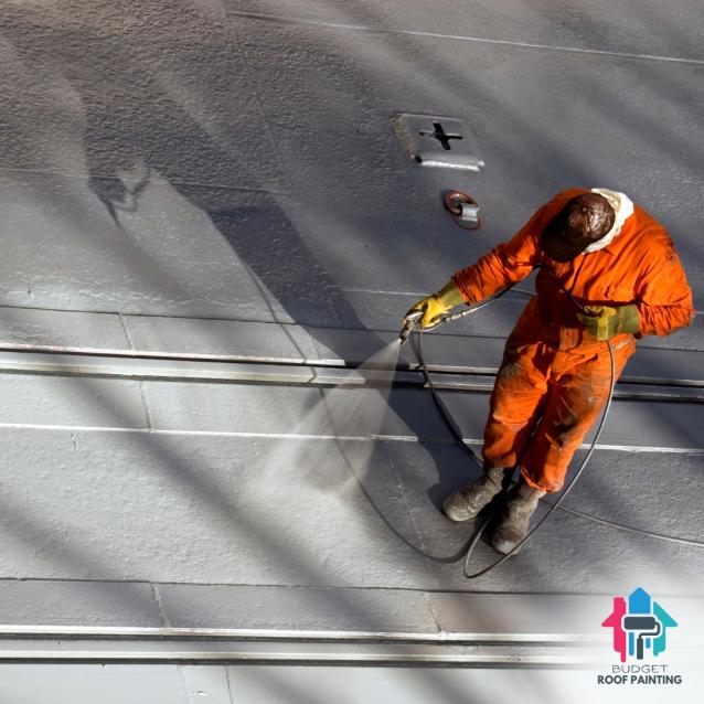 View Photo: Roof Painters Sydney