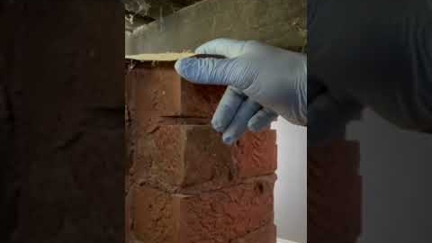 Watch Video: Subfloor Building and Termite inspection