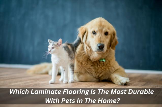 Which Laminate Flooring Is The Most Durable With Pets In The Home?