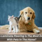 Which Laminate Flooring Is The Most Durable With Pets In The Home?