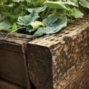 View Photo: Recycled Timber Vegetable Bed