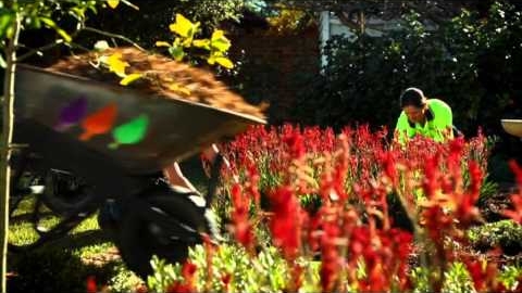 Watch Video: Dsatco Mulch and DBM Landscapes (TV Commercial)