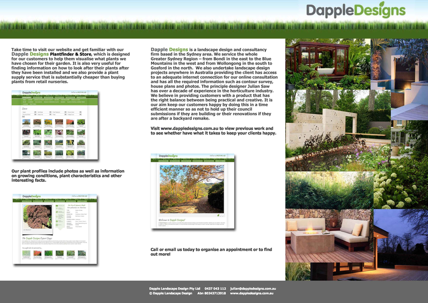 View Brochure: Design Process & Website 