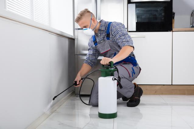Read Article: An In-depth Guide to Effectively Controlling Common Household Pests
