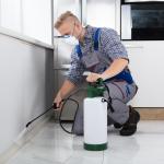 Read Article: An In-depth Guide to Effectively Controlling Common Household Pests
