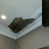 Ceiling Collapse- Lath Plaster