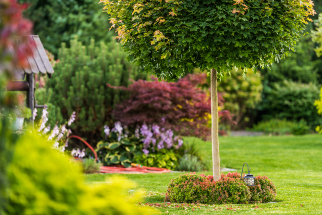 Read Article: Eight Tips To Get Your Garden Ready For Summer