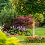 Read Article: Eight Tips To Get Your Garden Ready For Summer